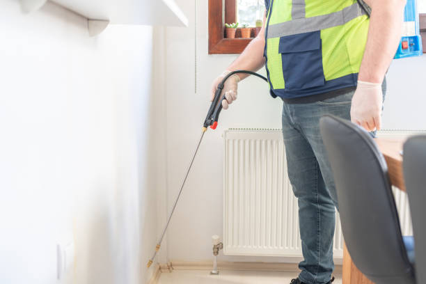 Best Local Pest Control Services  in Peculiar, MO