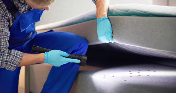 Professional Pest Control in Peculiar, MO