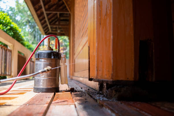 Best Termite Control Services  in Peculiar, MO