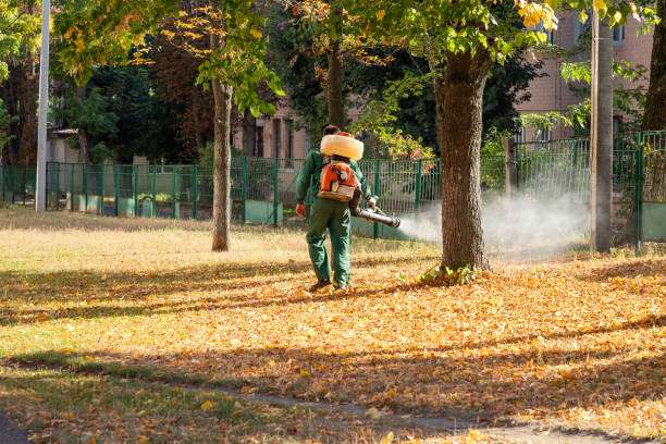 Best Pest Removal Services  in Peculiar, MO